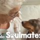 84-Year-Old Lady Is Best Friends With This Pup | The Dodo Soulmates