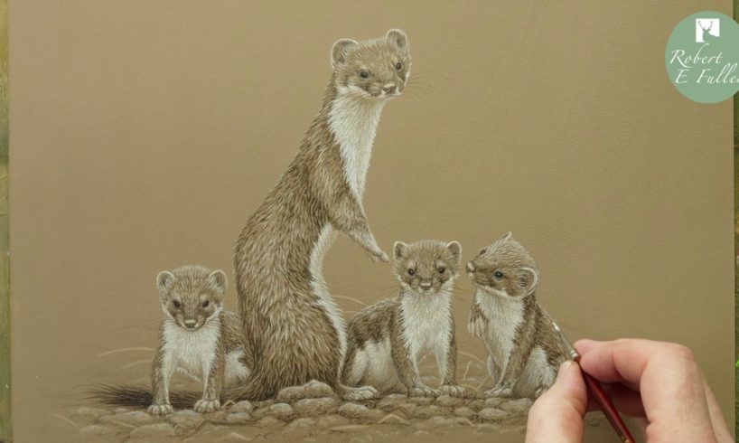 A Magnificent Animal Mum | Bandita the Stoat | My Painting Story