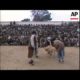 Afghans gather at city stadium to watch traditional dog fight