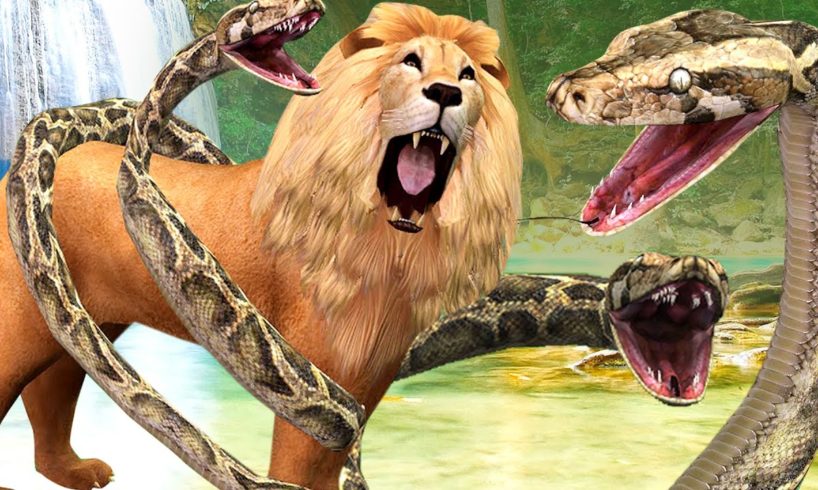 Animal Attacks And Fights | Lion Vs Python | Animal Videos For Kids
