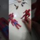 Animal fight became fight of superheroes