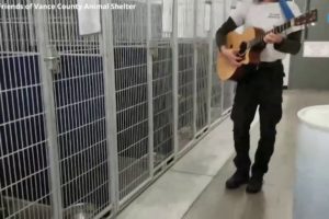 Animal service officer sings and plays guitar for shelter dogs