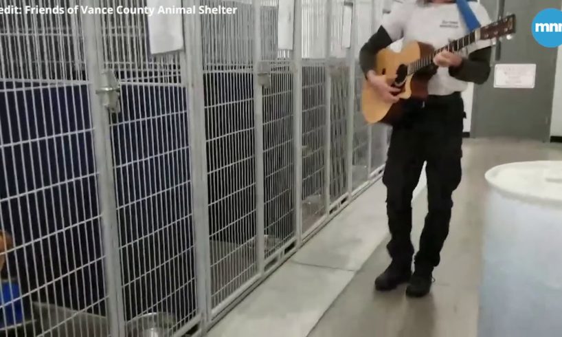 Animal service officer sings and plays guitar for shelter dogs