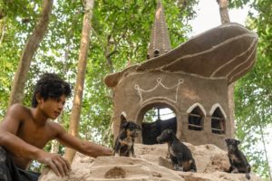 Black Dogs Rescued From Dry WaterWell Building  Dog House On Ant Hill Unused