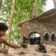 Black Dogs Rescued From Dry WaterWell Building  Dog House On Ant Hill Unused