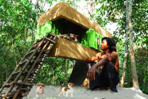 Build Amazing 3D Bamboo House On High Ground For My Cute Puppies.