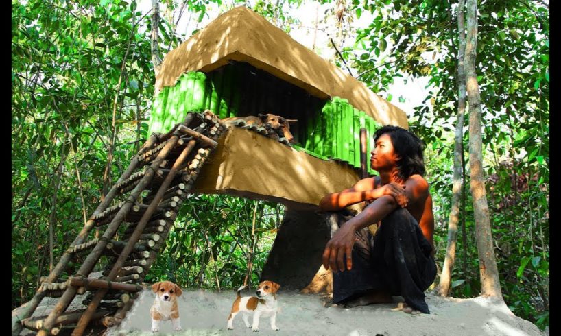 Build Amazing 3D Bamboo House On High Ground For My Cute Puppies.