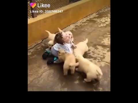 CUTE PUPPIES | CUTE BABY | LOVING EACH OTHER| SHARE LOVE
