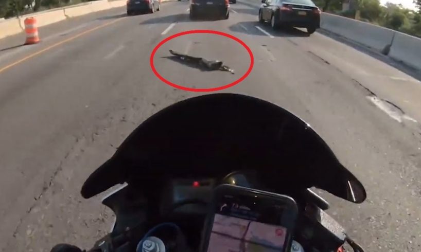Cheating Death: High-Speed Motorcycle Close Calls