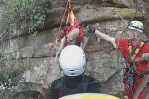 Climbers Make Heartwarming Rescue Of Dogs Trapped On A Cliffside