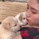 Cute Puppies on Owner Girl want food and milk | SimBona Play with Dog