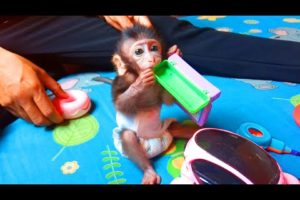 Cute baby Danny very happy playing a lot of toys with mom/ Mom looking baby so lovely