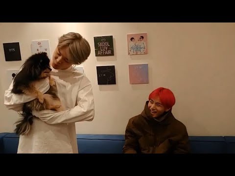 [Eng Sub] BTS V & Jimin, V's cute puppy
