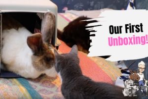 Episode 3: Our First Unboxing - Unboxing a Rescued Critter ???
