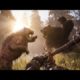 FAR CRY PRIMAL- ANIMAL FIGHTS ANIMATIONS
