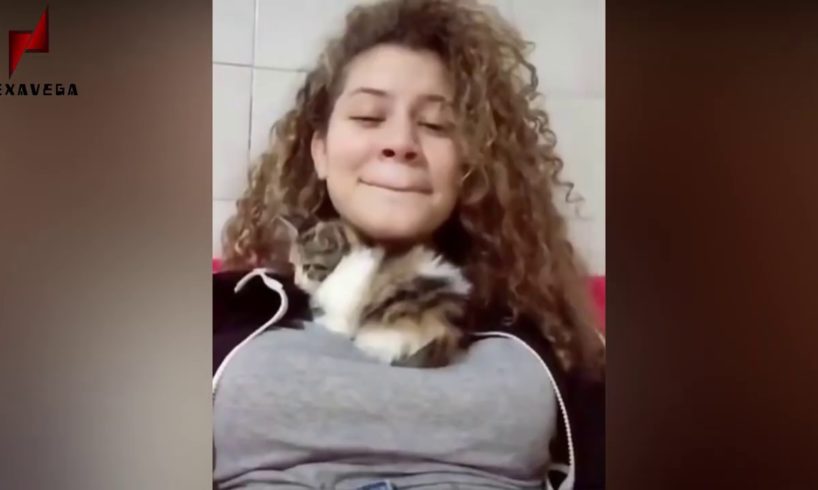 Funny Animal Compilation - 2020 | Cute Dogs, Cats, Birds & Wildlife Animals Videos