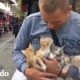 Hombre rescata a gatitos abandonados en el mercado | El Dodo