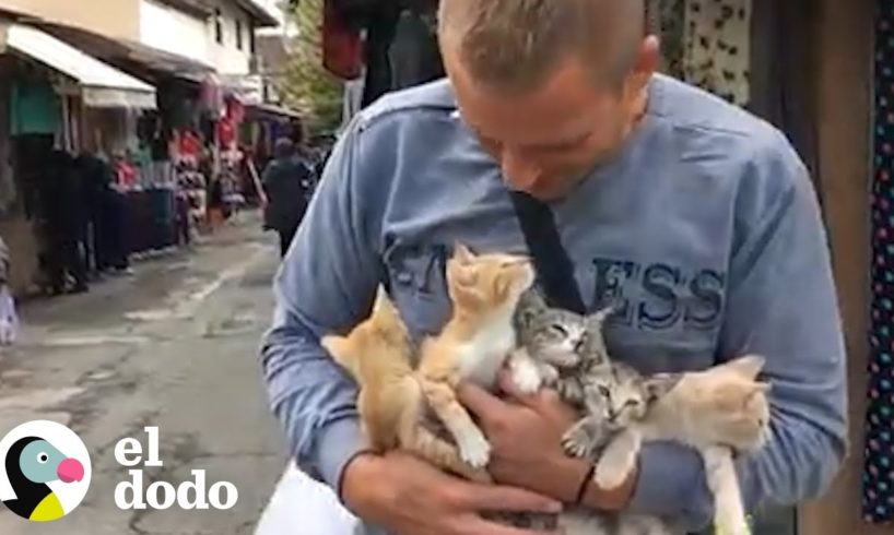 Hombre rescata a gatitos abandonados en el mercado | El Dodo