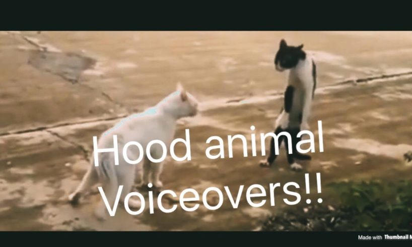 Hood Animal Voiceovers!