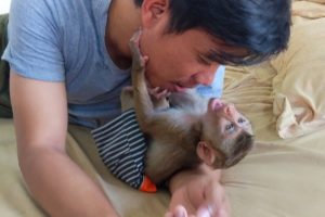 How Sweet Of Dad And Baby Monkey TaTa Playing Funny | Funny Animals