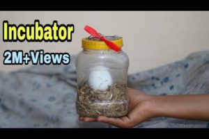 How To Make Egg incubator at Home | Egg Incubator For Chicken Eggs