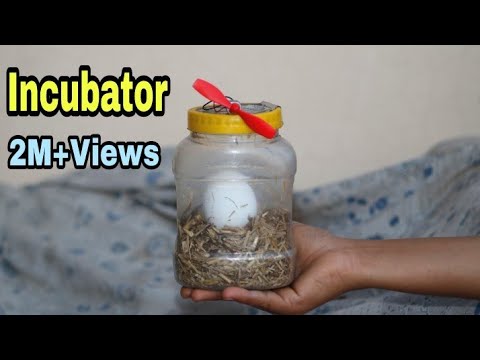 How To Make Egg incubator at Home | Egg Incubator For Chicken Eggs