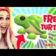 How to Get The *NEW* LEGENDARY TURTLE FOR FREE!! Adopt Me Aussie Egg Update! (Roblox)