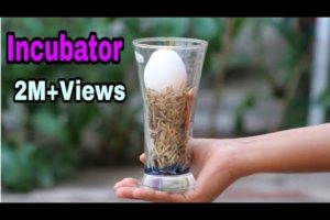 Incubator For chicken Eggs | How to make Egg Incubator At Home without temperature controler