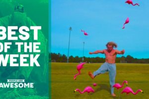 Man vs. Plastic Flamingos | Best of the Week (ft. Jujimufu)