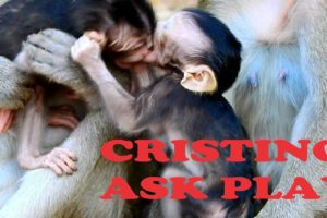 POOR BABY CRISTINE CAN WALK TO MEET &ASK PLAY WITH WITH BABY VITTA UNDER MOM VISTARY TAKE CARE |