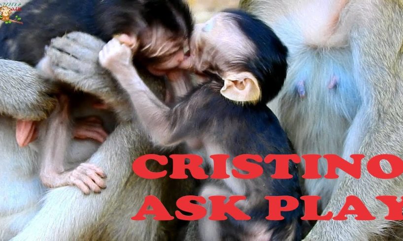 POOR BABY CRISTINE CAN WALK TO MEET &ASK PLAY WITH WITH BABY VITTA UNDER MOM VISTARY TAKE CARE |