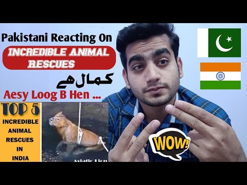 Pakistani Reaction On Top 5 Incredible Animal Rescues In india | 2020
