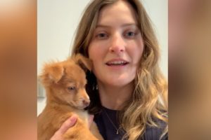 Puppy Has No Idea Her Foster Mom Is Stuck In Quarantine | The Dodo Foster Diaries