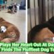 Puppy Plays Her Heart Out At Day Care And Then Finds The Fluffiest Dog To Nap On