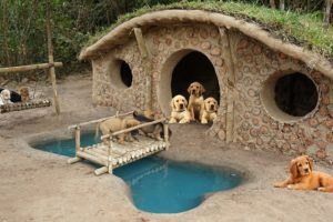Rescue 7 Newborn Puppies and Start Building Hobbit Dog Home