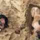 Rescue Poor Dog From Being Buried Alive In The Sand To a Beautiful & Thriving Dog