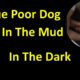 Rescue Poor Dog Stuck In The Mud Layer Of A Drainage Hole In the dark