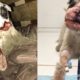 Rescue Poor Puppy Lost Lower Jaw, Two Nose Made Him Unable To Breathe