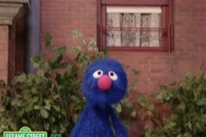 Sesame Street: Global Grover's Animal Rescue