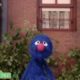 Sesame Street: Global Grover's Animal Rescue
