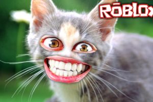 The cutest kitten in Roblox