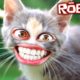 The cutest kitten in Roblox