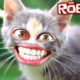 The cutest kitten in Roblox