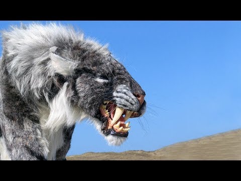 The most dangerous animals in the world