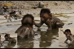 The twins take a bath and play with each other, rarely seeing Moy and Pee bathe together