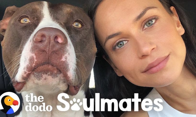 This Woman Couldn't Sleep — Until She Rescued a Pit Bull | The Dodo Soulmates