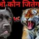 Tiger vs Cane Corso Who Win The Fight ? | Best Animals Fights Cane corso vs Tiger - Dogs Biography