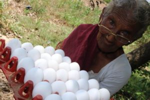 Traditional Egg Curry By My Grandma | My 105 Grandma Cooking Eggs Curry | Eggs Curry |