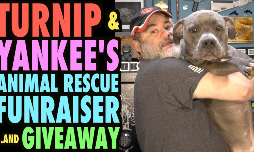 Turnip's FurFriends Animal Rescue Fundraiser (and Giveaway!)
