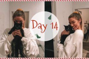 VLOGMAS DAY 14 // cutest kitten EVER!